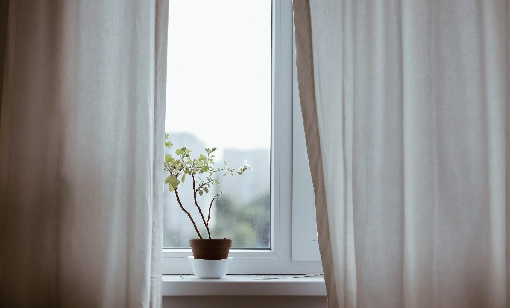 How Do I Grow Spiritually?