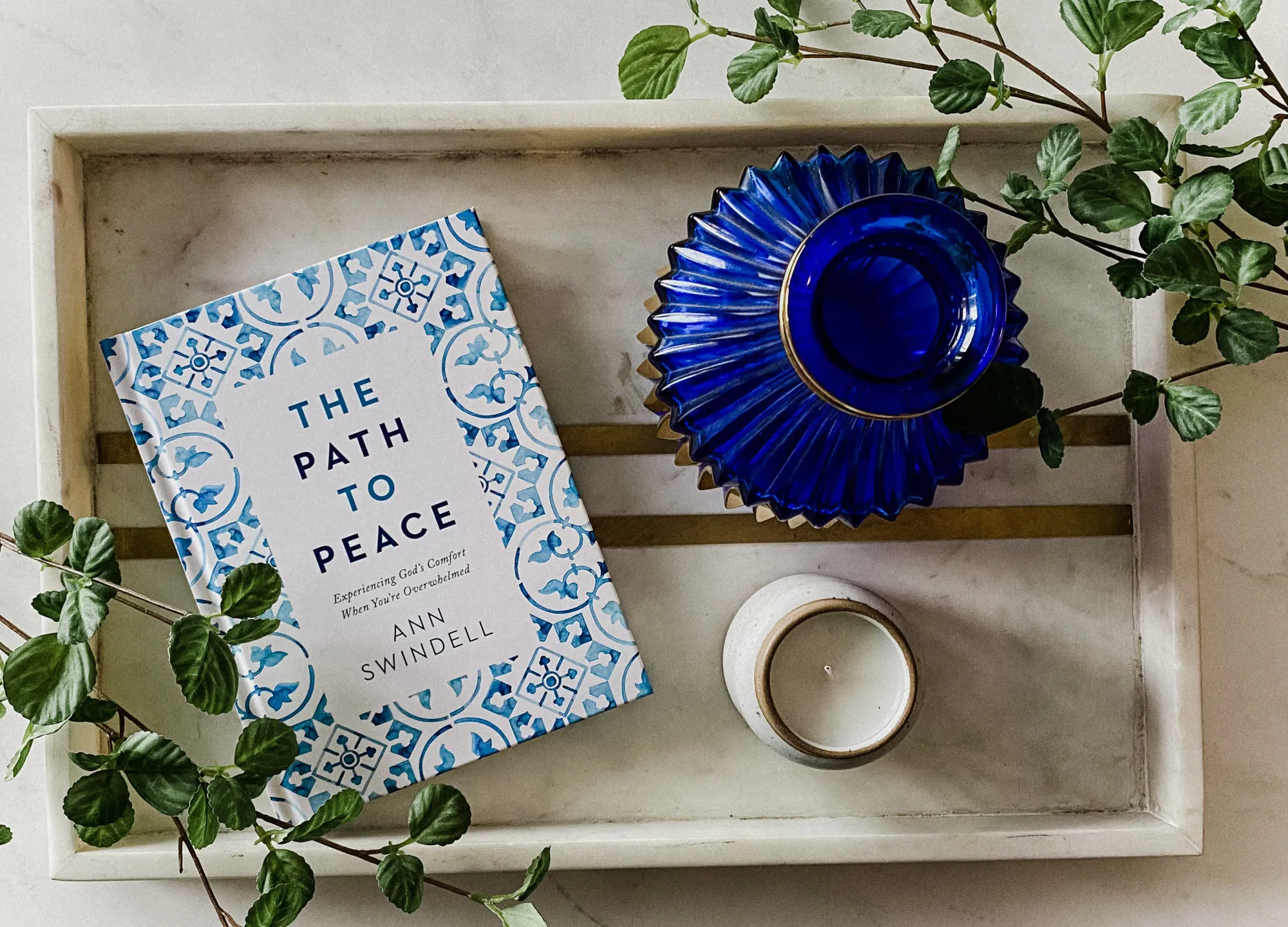 Sneak Peek Interview: Ann Swindell
