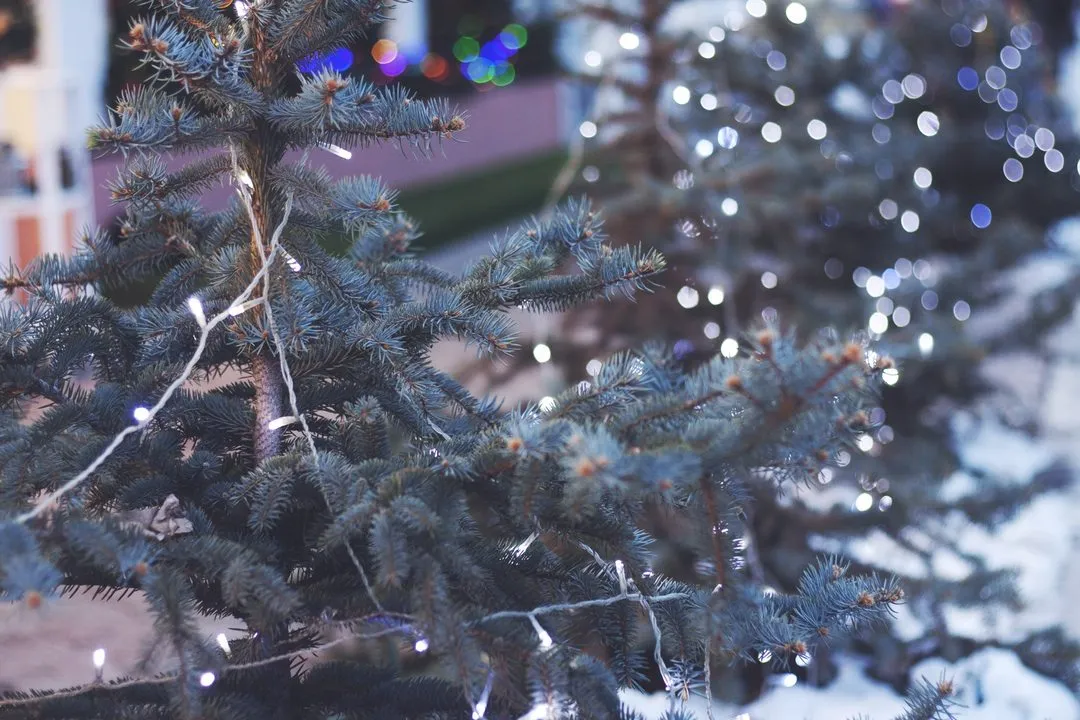 A Christmas Poem: Come to the Manger
