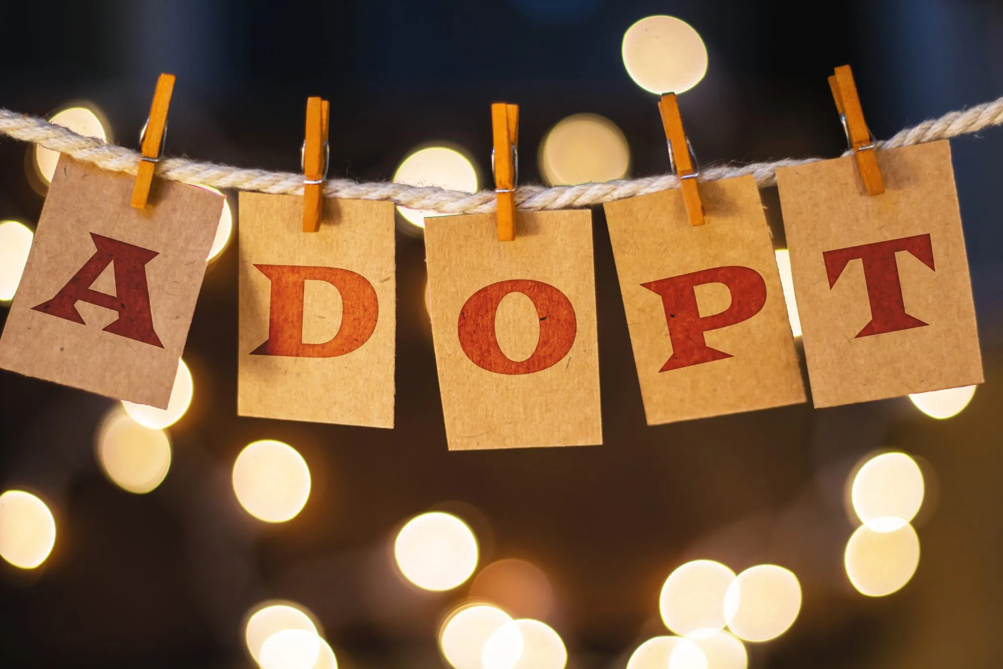 Three Adoptions That Changed My Life