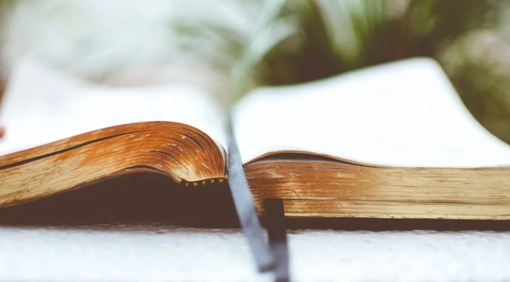 Looking for Brief and Accessible Books on the Origins of the Biblical Canon? Here are Two Good Ones