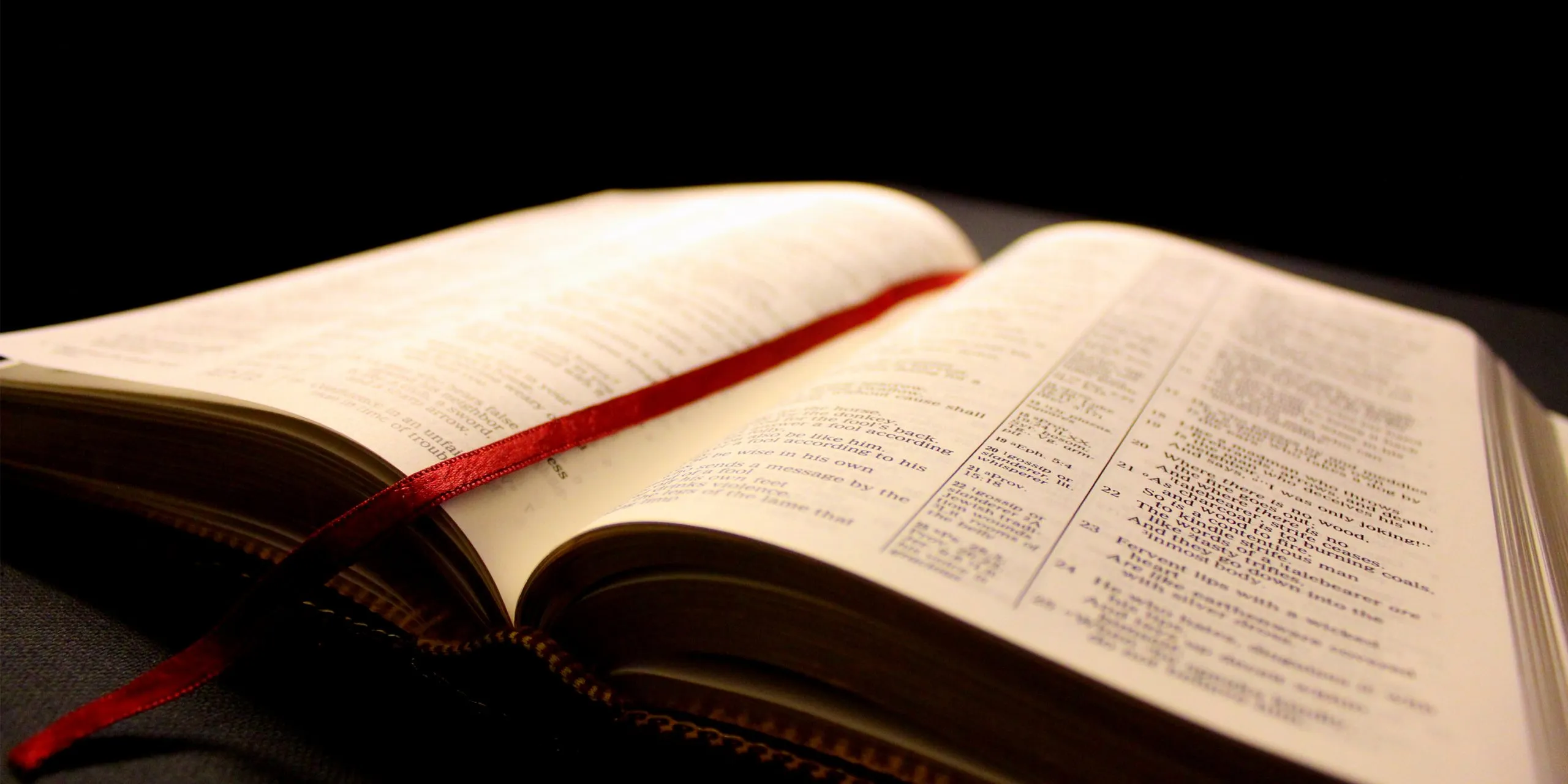 How Did We Get Our Bible? My Interview on the NT Canon at the Ligonier Conference