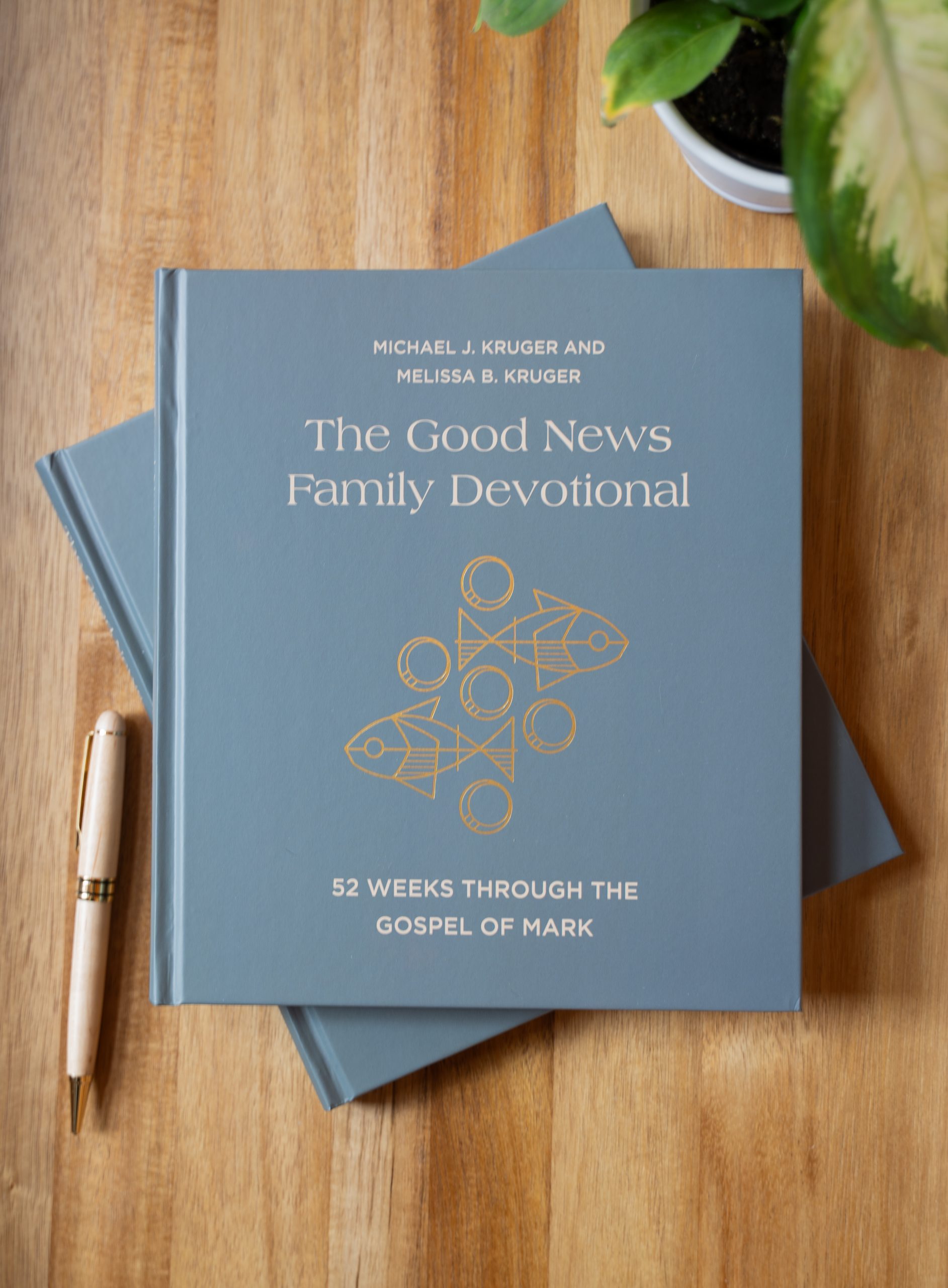 Our Exciting New Book for Christian Parents