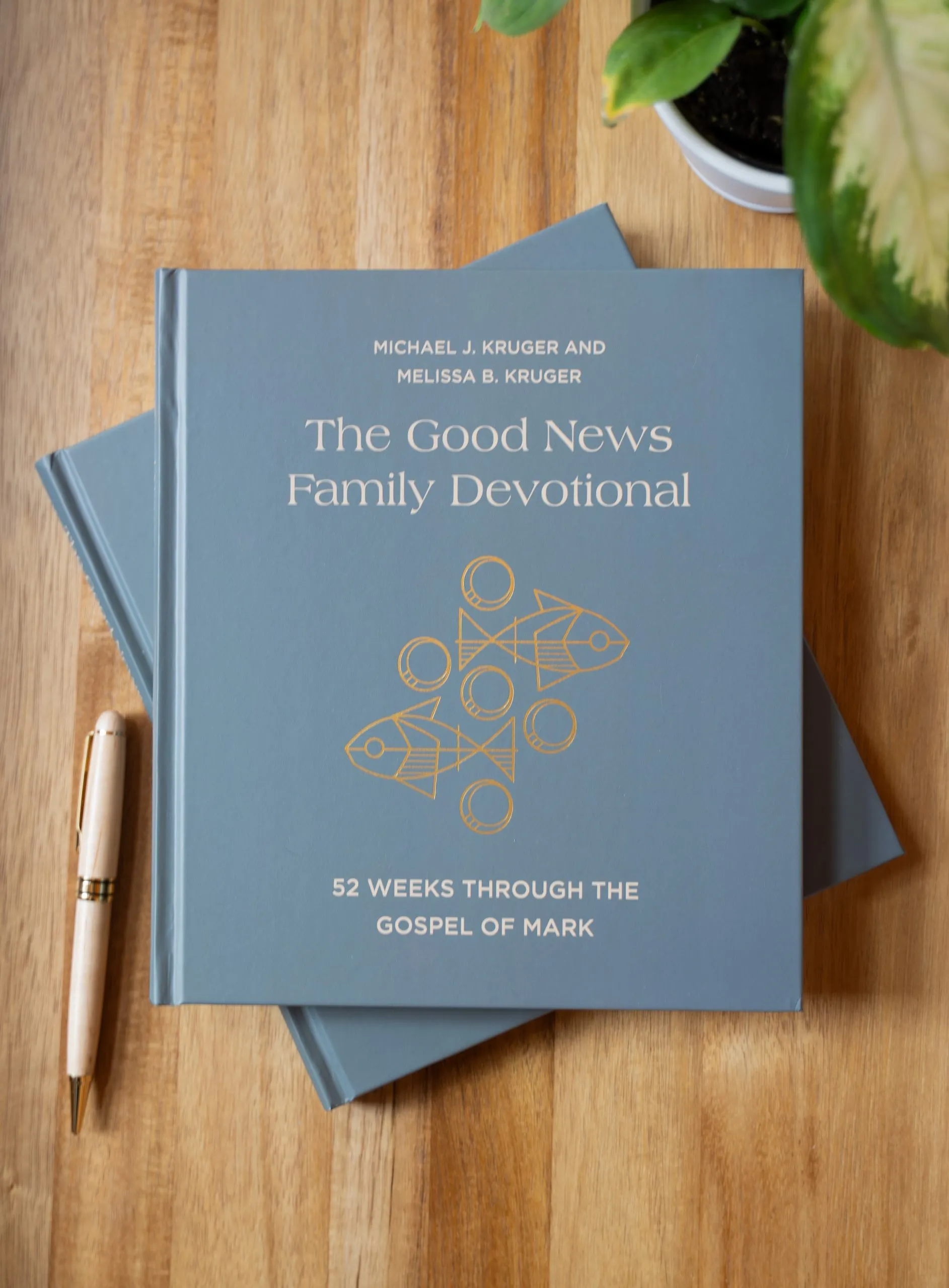 Our Exciting New Book for Christian Parents