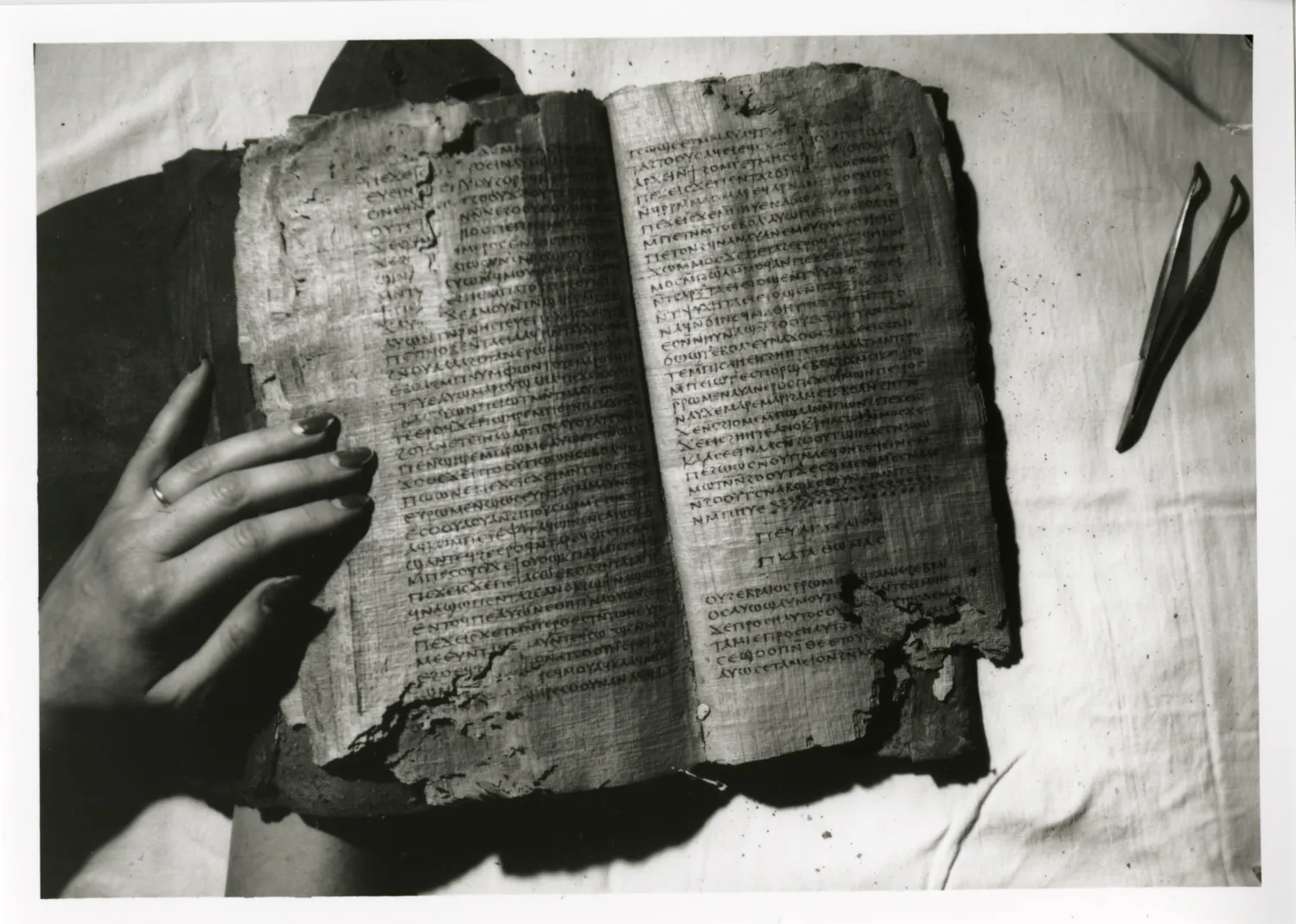 How Do We Know We Have the Right Gospels?