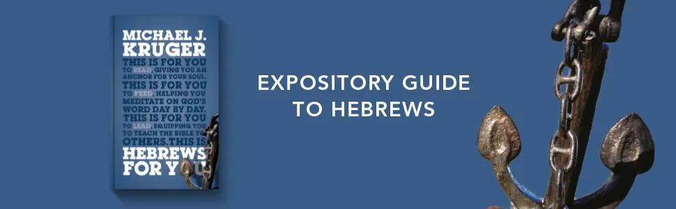A Preview of My New Commentary on the Book of Hebrews