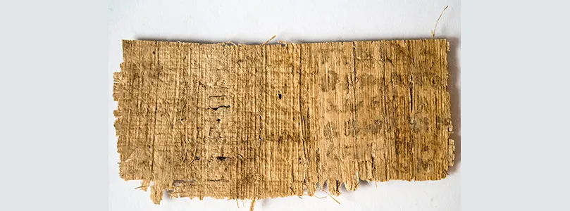 What About the Back of the So-Called Gospel of Jesus’s Wife?