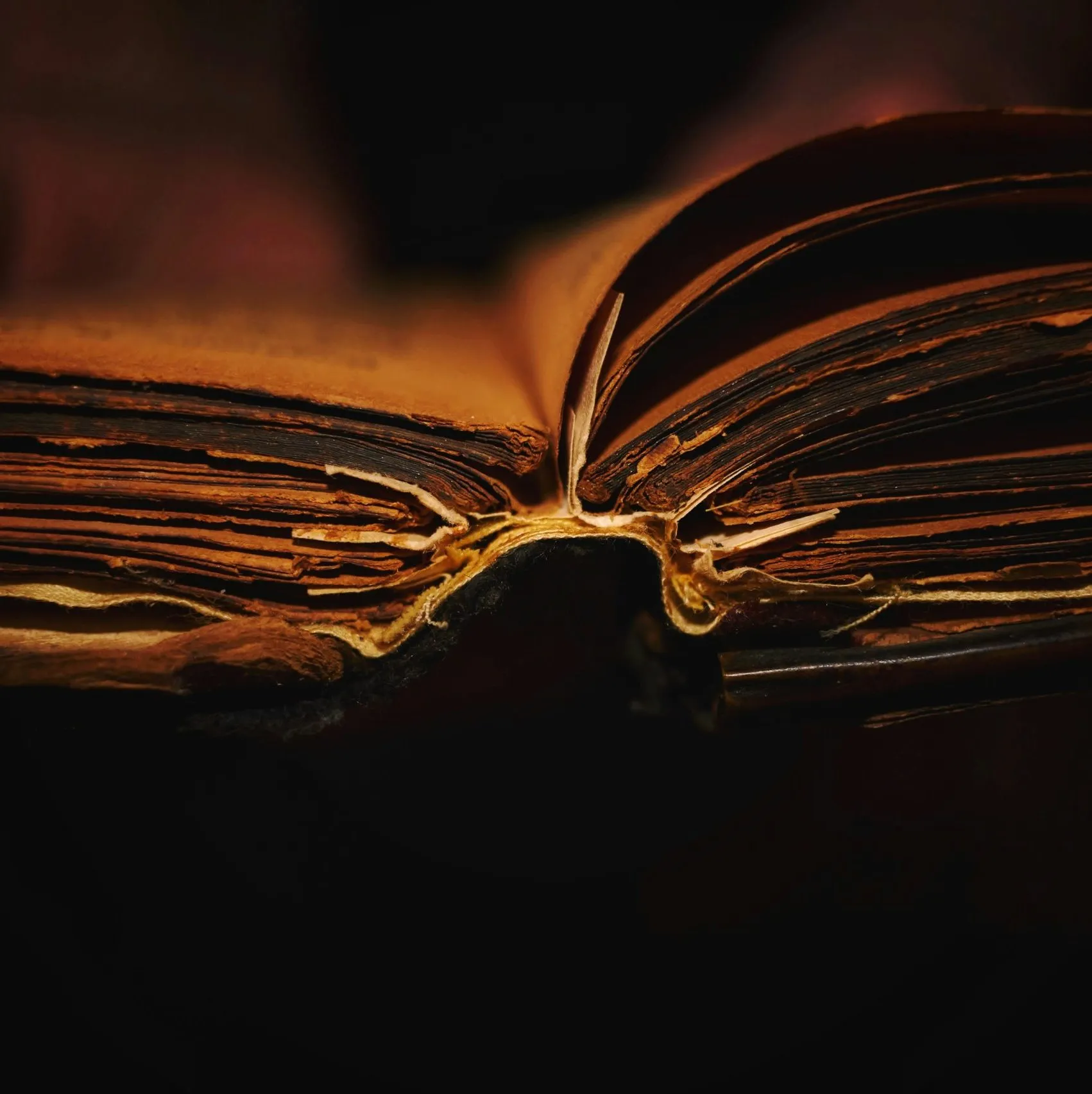 How Did the New Testament Canon Come to Be?
