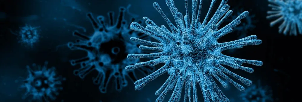 How a “You do You” Culture Has Made Us Vulnerable to the Coronavirus