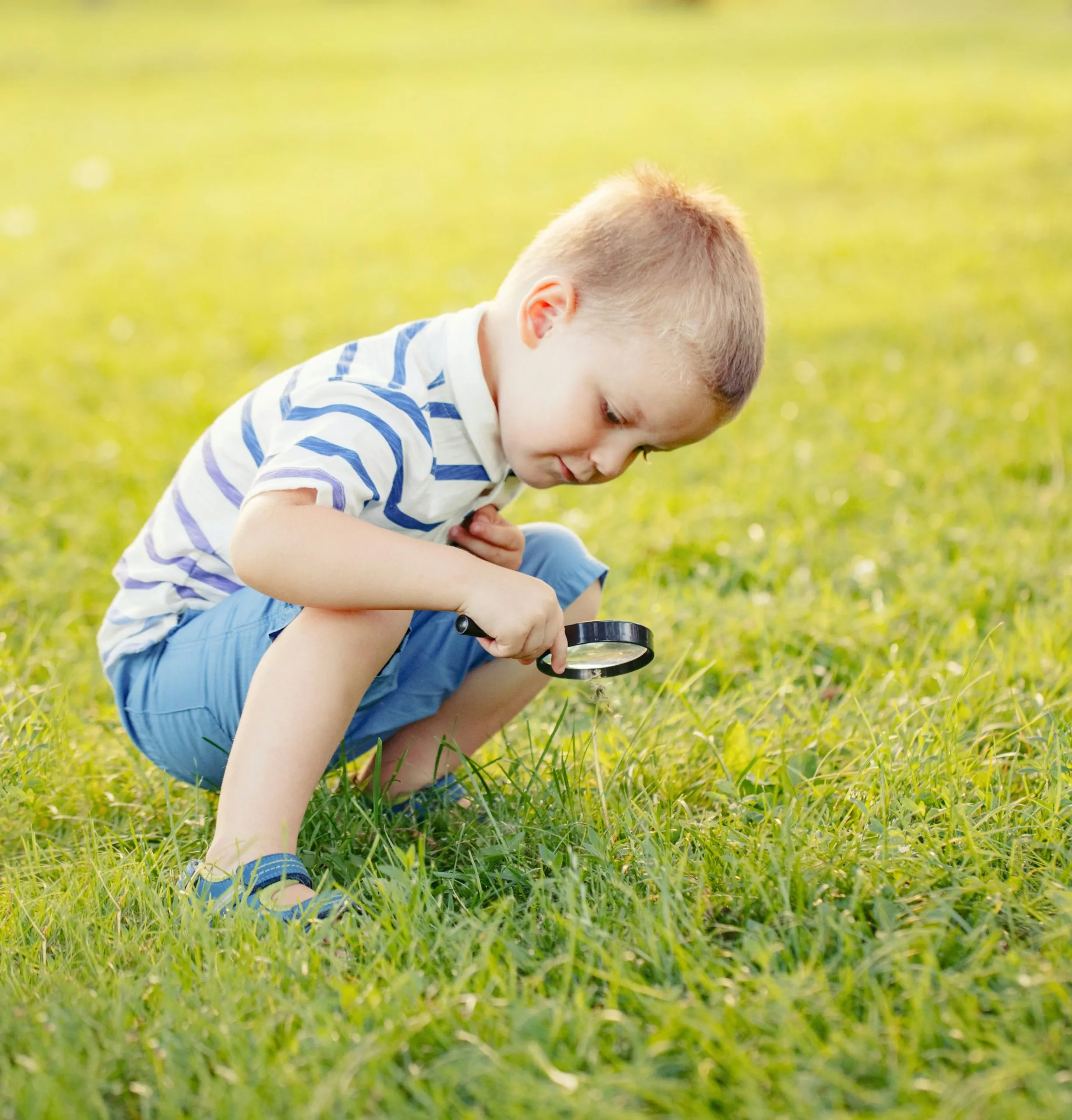 The Loss of Intellectual Curiosity—and Why It’s Dividing the Church