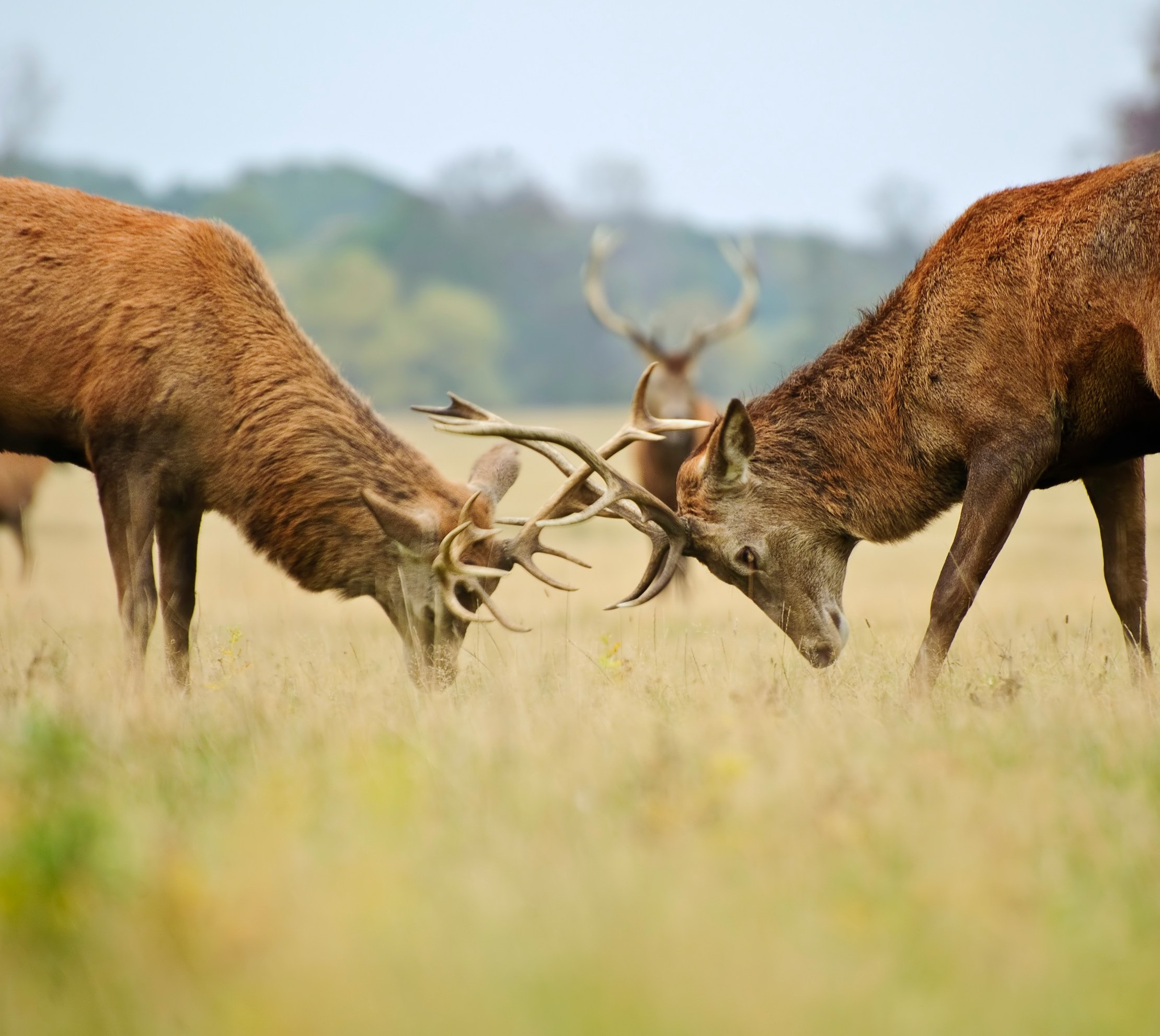 Does the World Notice When Christians Fight with One Another?