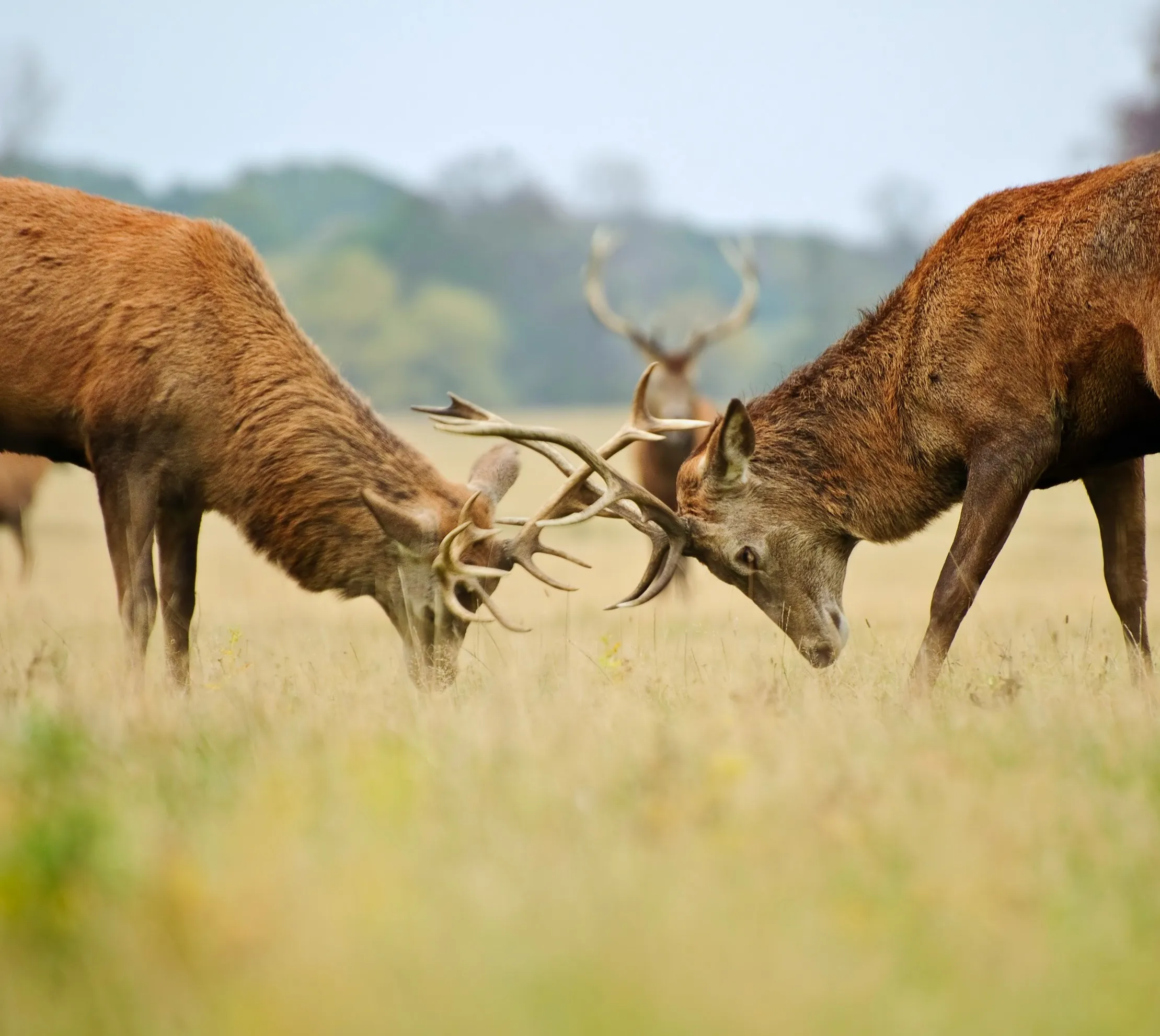 Does the World Notice When Christians Fight with One Another?