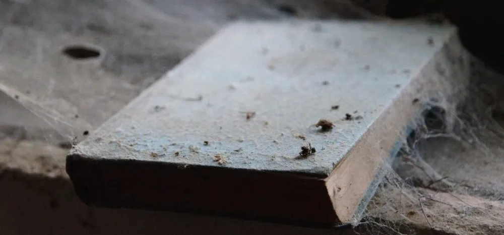 What about the ‘Lost’ Books of the Bible?
