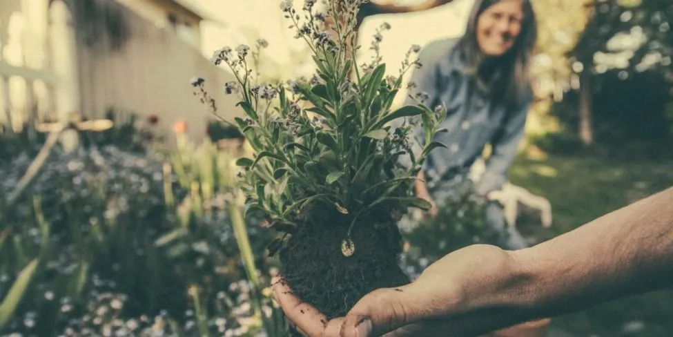 @RTSCharlotte Launches New Center for Church Planting