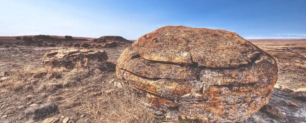 Maybe a Rock Really Did Move in the Desert